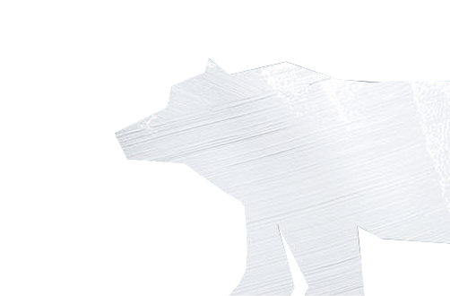 bear-white-v2